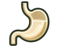 DIGESTION